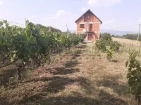 Donja Kupinovica, Okolne lokacije, Leskovac | 4zida.rs