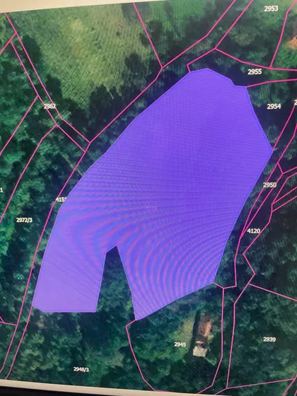 Lomnička | 4zida.rs