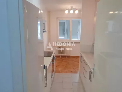 Dr Ivana Ribara | 4zida.rs