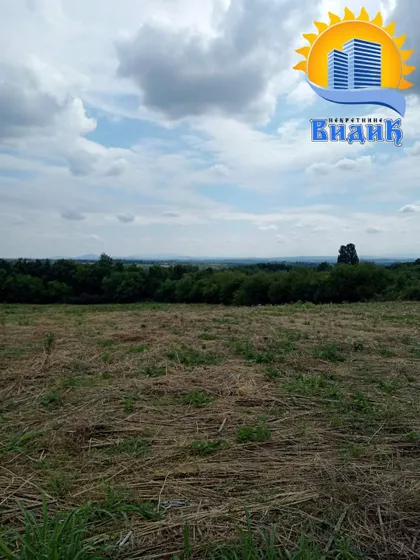 6. Ličke divizije | 4zida.rs