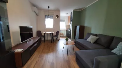 Lajoša Joa 52 | 4zida.rs