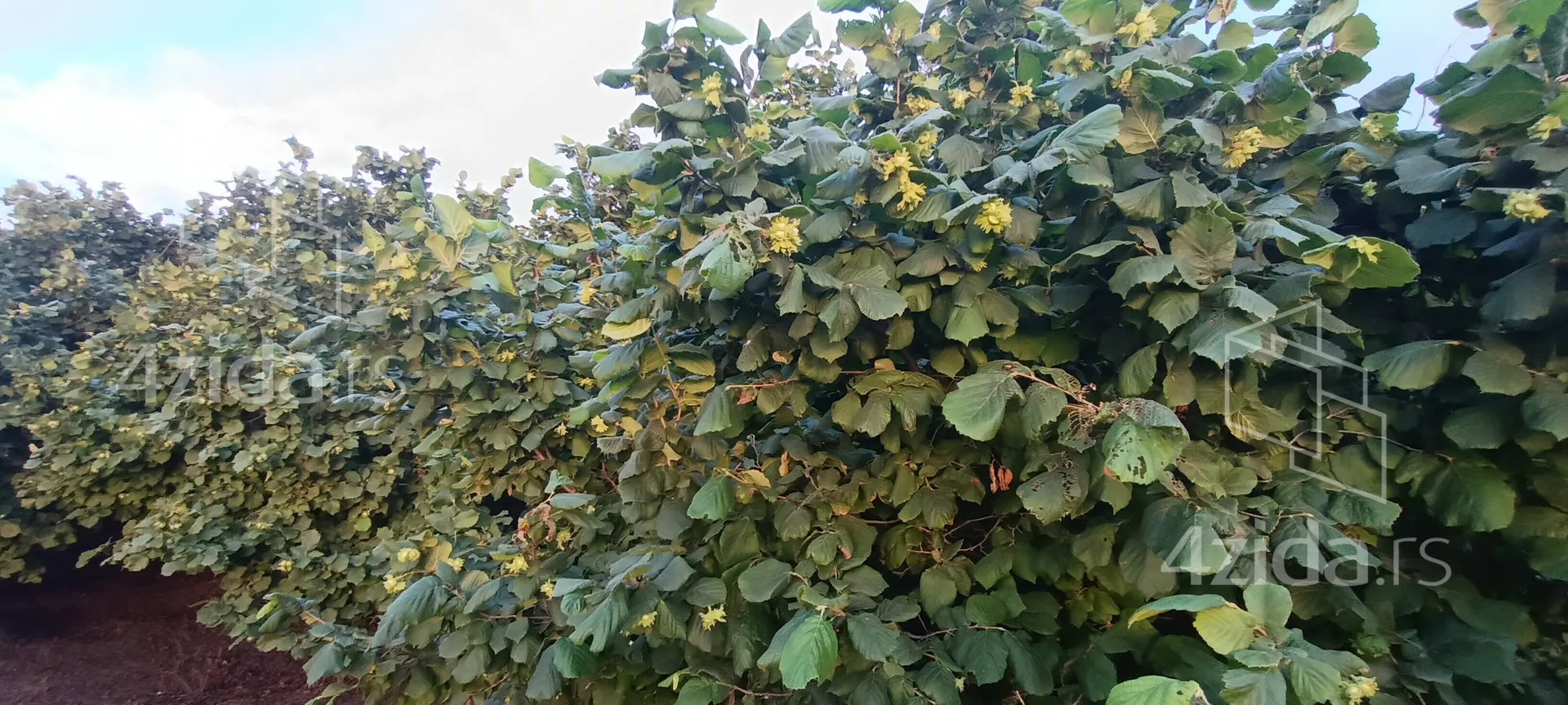 Poljoprivredno zemljište | 4zida