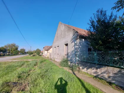 Botoš | 4zida.rs