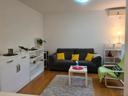 Vitezova Karađorđeve Zvezde | 4zida.rs