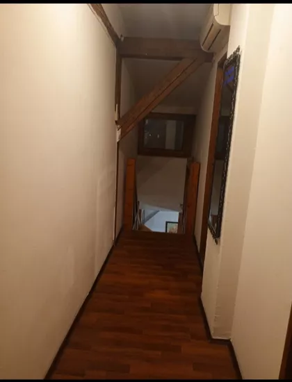 Rumenačka | 4zida.rs