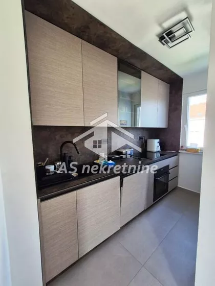 Dr Ivan Ribar | 4zida.rs