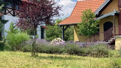 Natalije Cvetković 19 | 4zida.rs