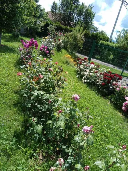 Ribnjak | 4zida.rs