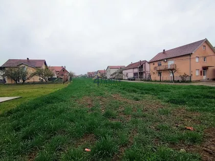 Jovana brankovića | 4zida.rs