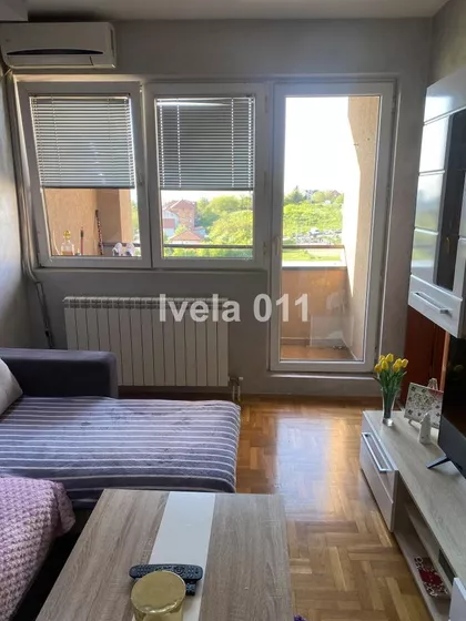 Miljana Miljanića | 4zida.rs