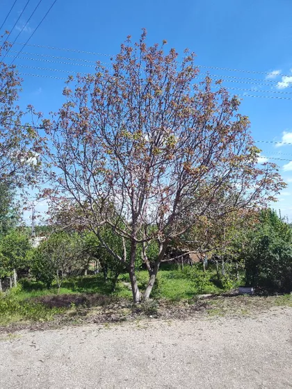 Njegoševa 31 | 4zida.rs
