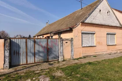 Janka Baka | 4zida.rs