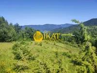 Zaovine, Tara | 4zida.rs