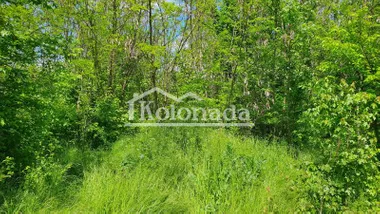 Milorada Markovića Miće