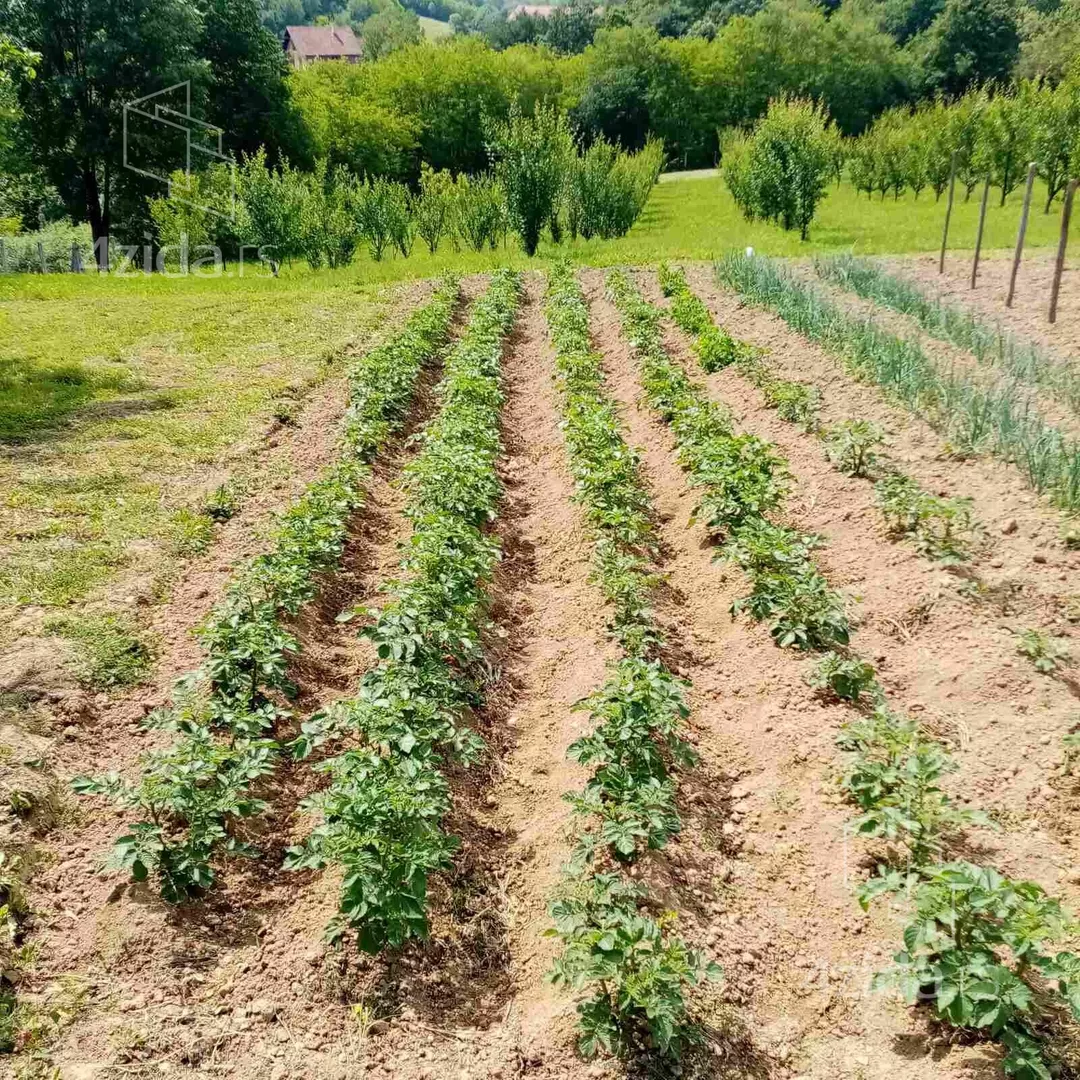 Poljoprivredno zemljište | 4zida