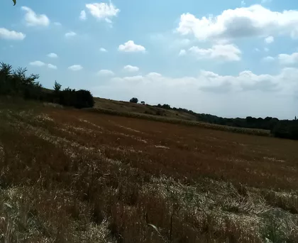 Rivica | 4zida.rs