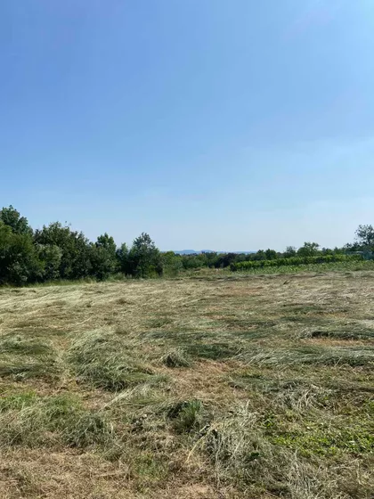 Jakova Nenadovica | 4zida.rs