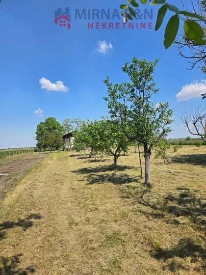 Žarkovac | 4zida.rs