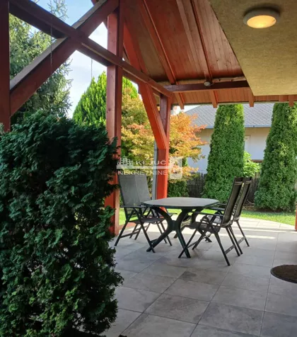 Pavla Vujisića | 4zida.rs