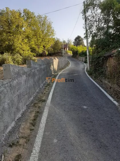 Veliki vis | 4zida.rs