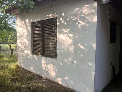Makova Sedmica | 4zida.rs