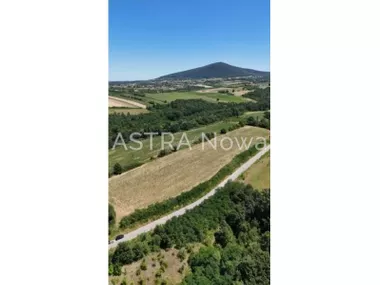 Rogača