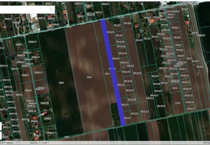 Surčin (mesto) | 4zida.rs