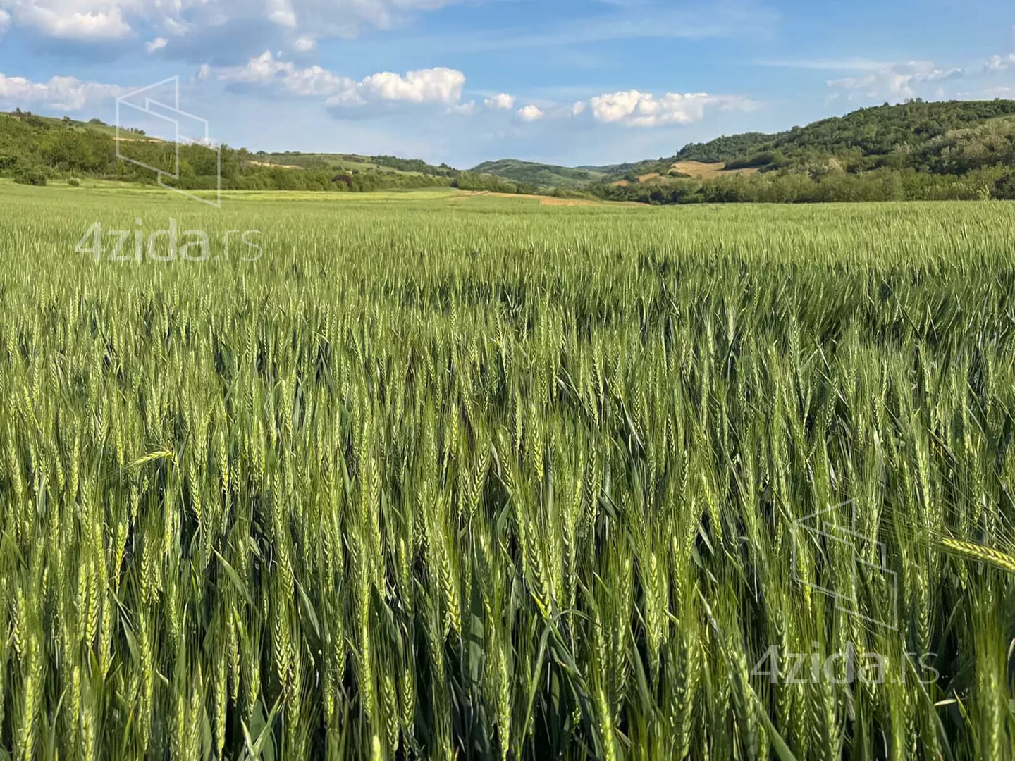 Poljoprivredno zemljište | 4zida