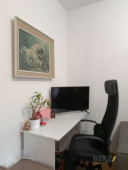 Cara Dušana | 4zida.rs