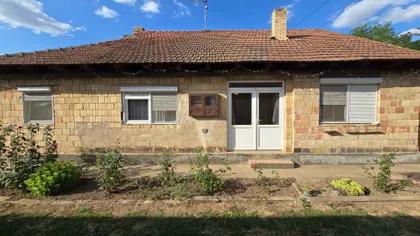 Pačir | 4zida.rs