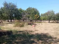 Brestovac, Okolne lokacije, Knić | 4zida.rs