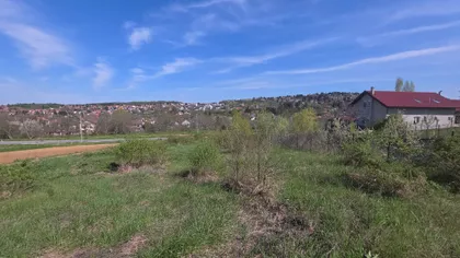 Sremska Kamenica | 4zida.rs