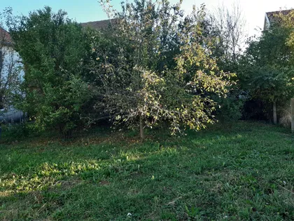 Popova Bara Nova  210 | 4zida.rs