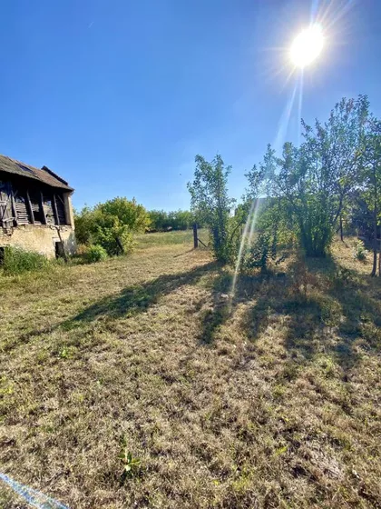 Samoš | 4zida.rs