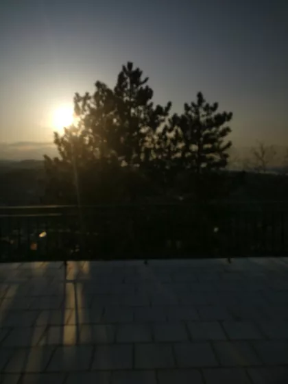 Sremskih Partizana | 4zida.rs