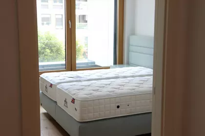Tadije Sondermajera | 4zida.rs