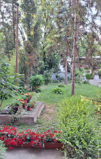 Novi Sad - Centar | 4zida.rs