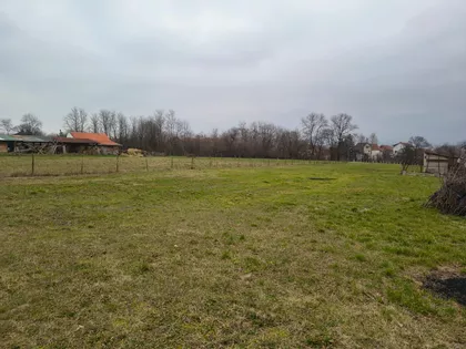 Čibukovac | 4zida.rs