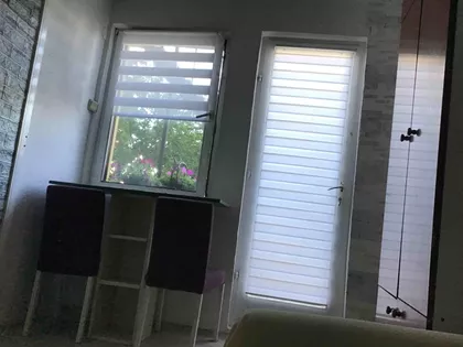 Salajka | 4zida.rs