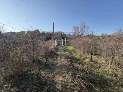 Alibegovac | 4zida.rs