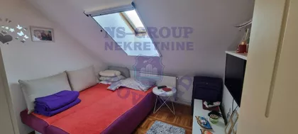 Salajka | 4zida.rs