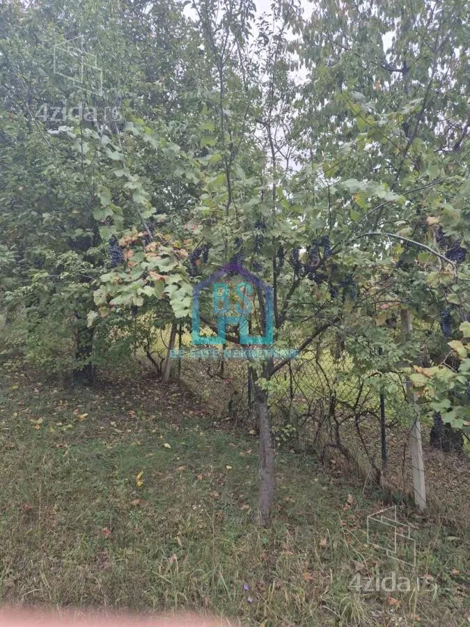 Plac | 4zida