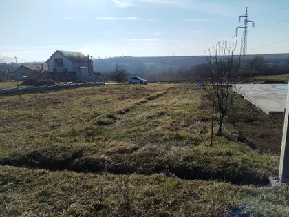 Ljubisava Šarčevića | 4zida.rs