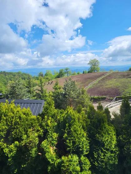 Kaluđerske Bare | 4zida.rs