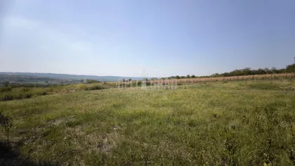 Lipljanska | 4zida.rs