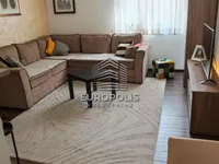 Profesorska Kolonija, Palilula opština, Beograd | 4zida.rs