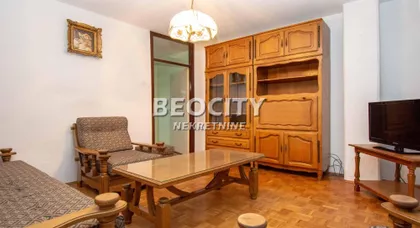 Dr Ivana Ribara | 4zida.rs