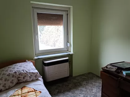 Ibolje Ferenci 15 | 4zida.rs
