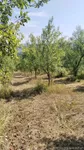 Plac | 4zida
