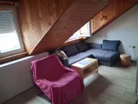 Novo Naselje, Gradske lokacije, Novi Sad | 4zida.rs